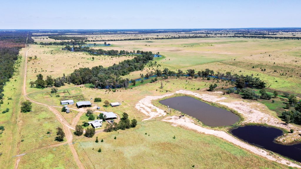"Tarawindi", Moonie Eastern Rural Dalby Livestock & Property Agents